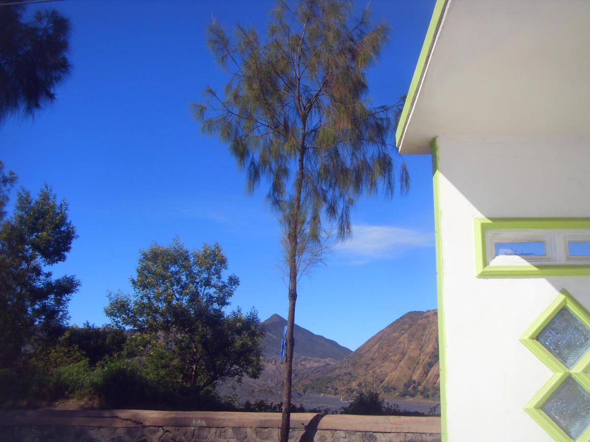 Cahyo Homestay 브로모 외부 사진